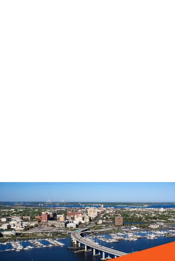 South Carolina landscape.