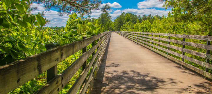 The Silver Comet Trail is 61.5 miles long, and starts at the Mavell Road Trailhead in Smyrna, Georgia. It ends at the Georgia-Alabama border, near Cedartown and The Esom Hill Trailhead: Cheap car insurance in Cedartown, Georgia.