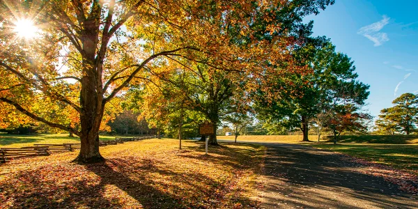 The old business district on Dickey Street in Calhoun County, Georgia Cheap car insurance in The Peach State.