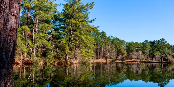The old business district on Peterson Avenue: Cheap car insurance in Douglas, Georgia.